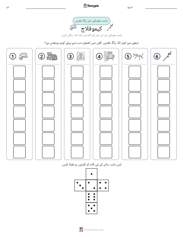 رول اور رنگ