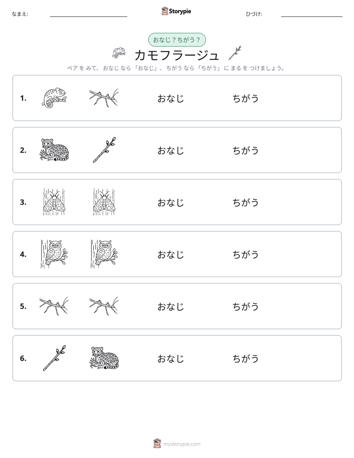 同じか違うか