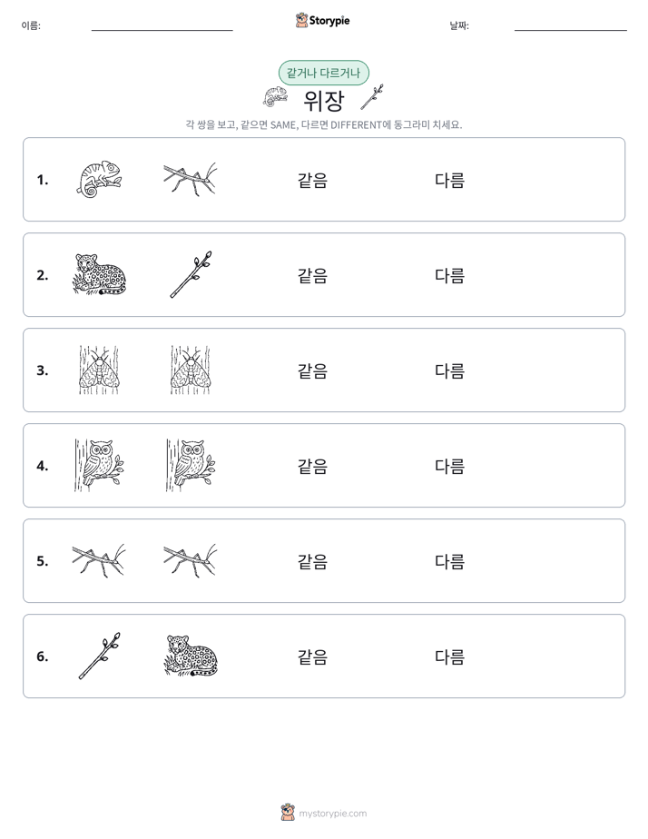 같은 것 또는 다른 것