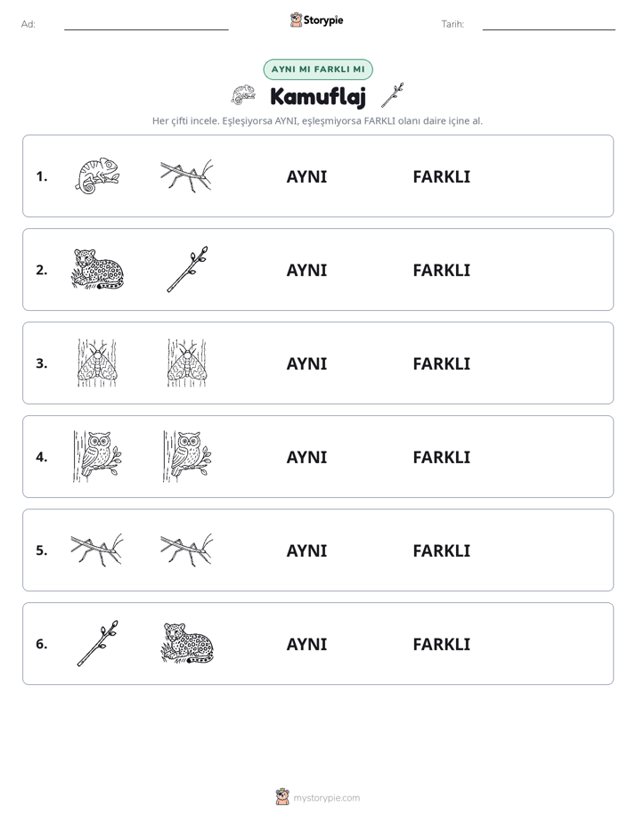 Aynı mı Farklı mı