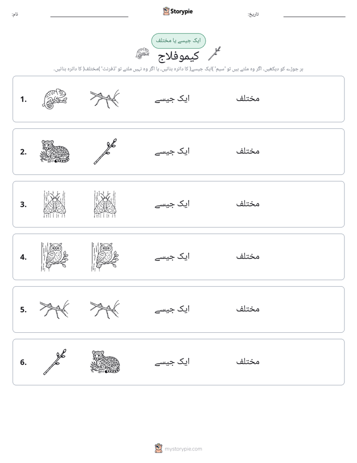 ایک جیسا یا مختلف