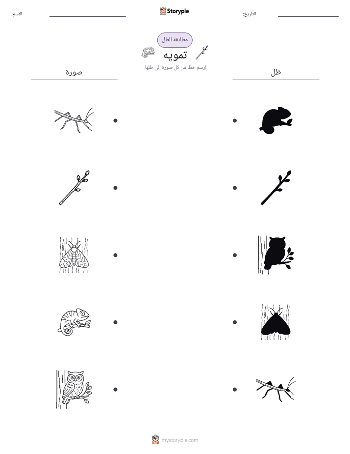 مطابقة الظل