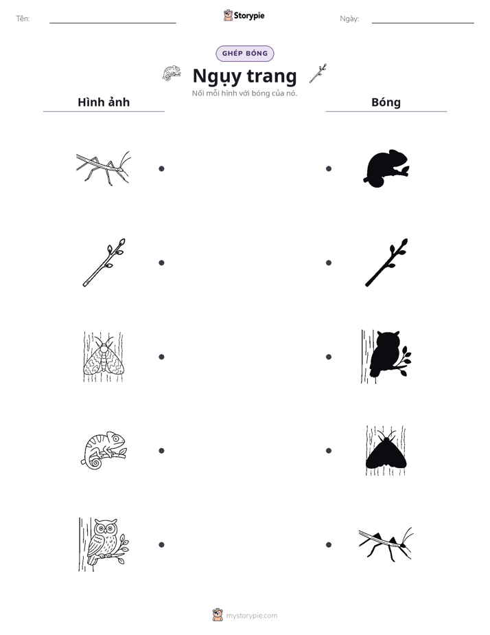 Ghép Hình Bóng