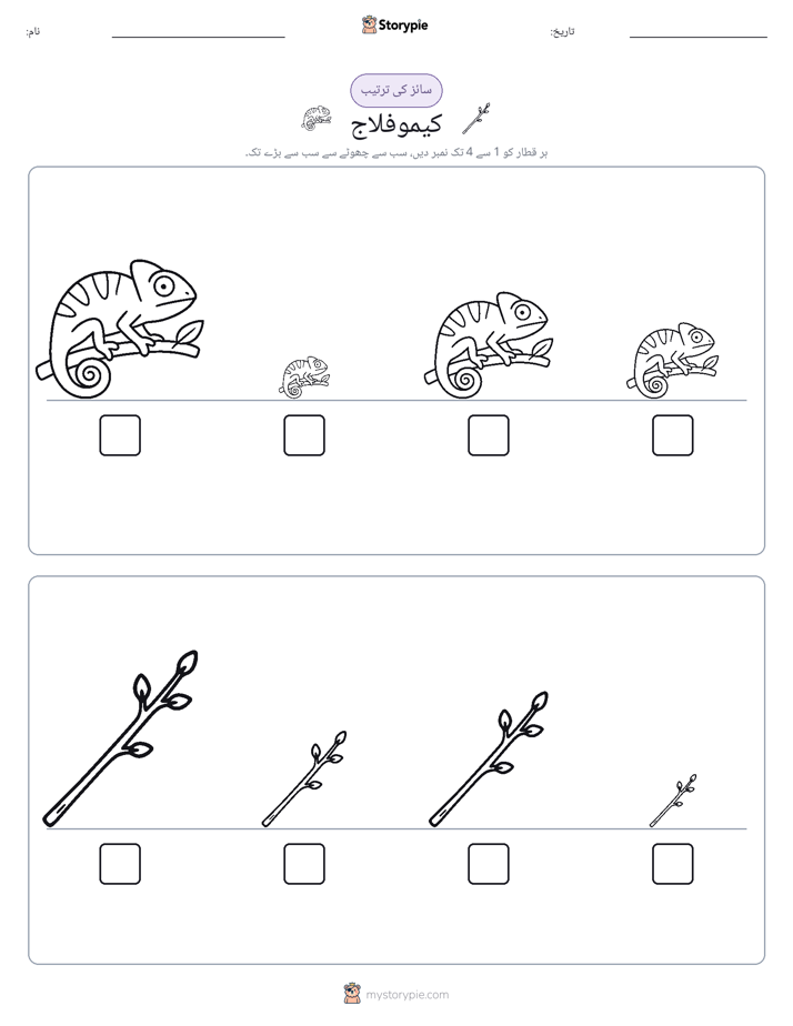 سائز کی ترتیب