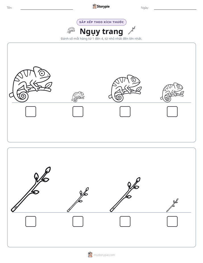 Thứ Tự Kích Thước