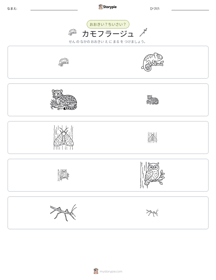 ソーティング