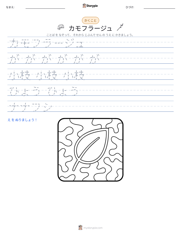 書き取り練習