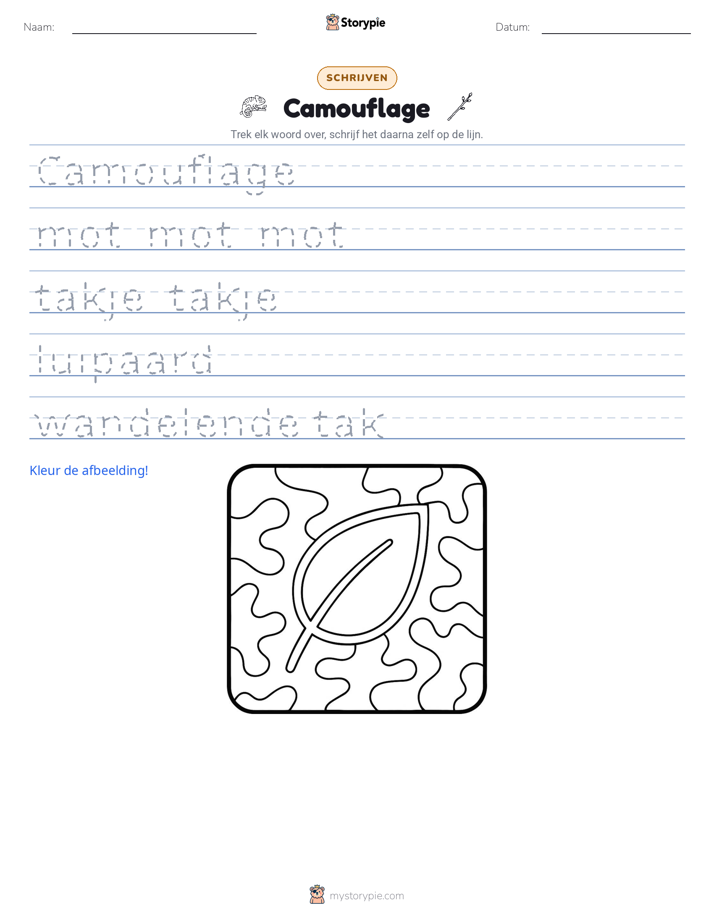 Schrijf Oefening