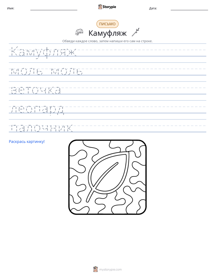 Практика письма