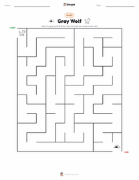 Gray Wolf printable worksheet preview