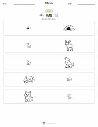 灰狼 可打印工作表预览