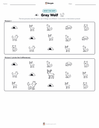 Gray Wolf printable worksheet preview