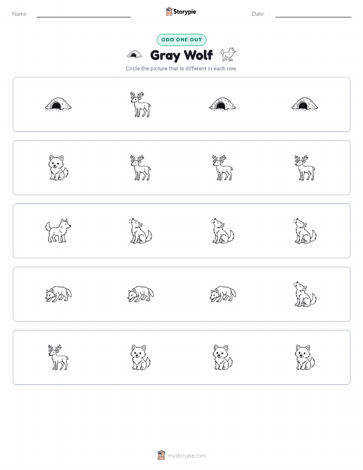 Odd One Out
