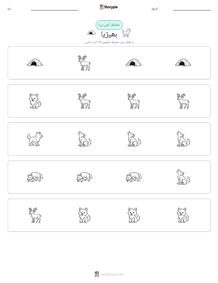 عجیب ایک