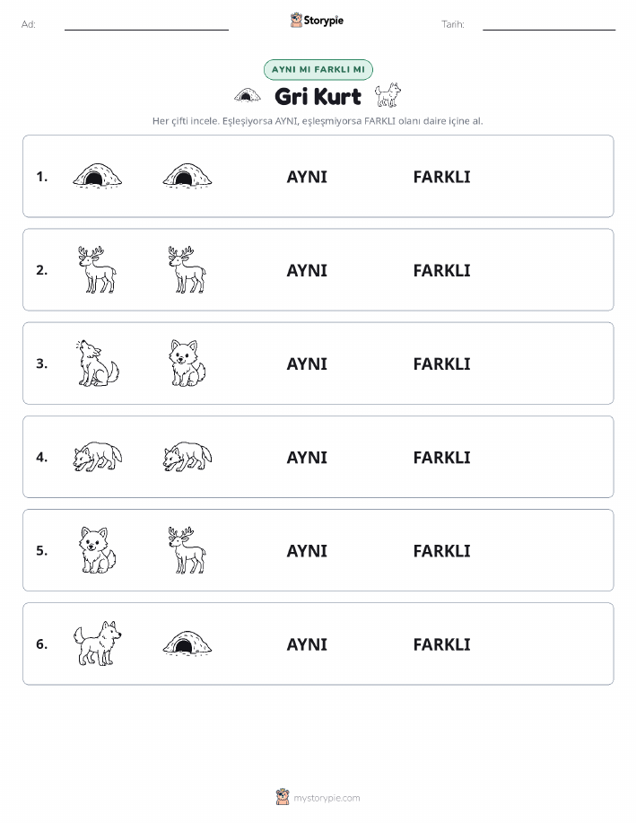 Aynı mı Farklı mı