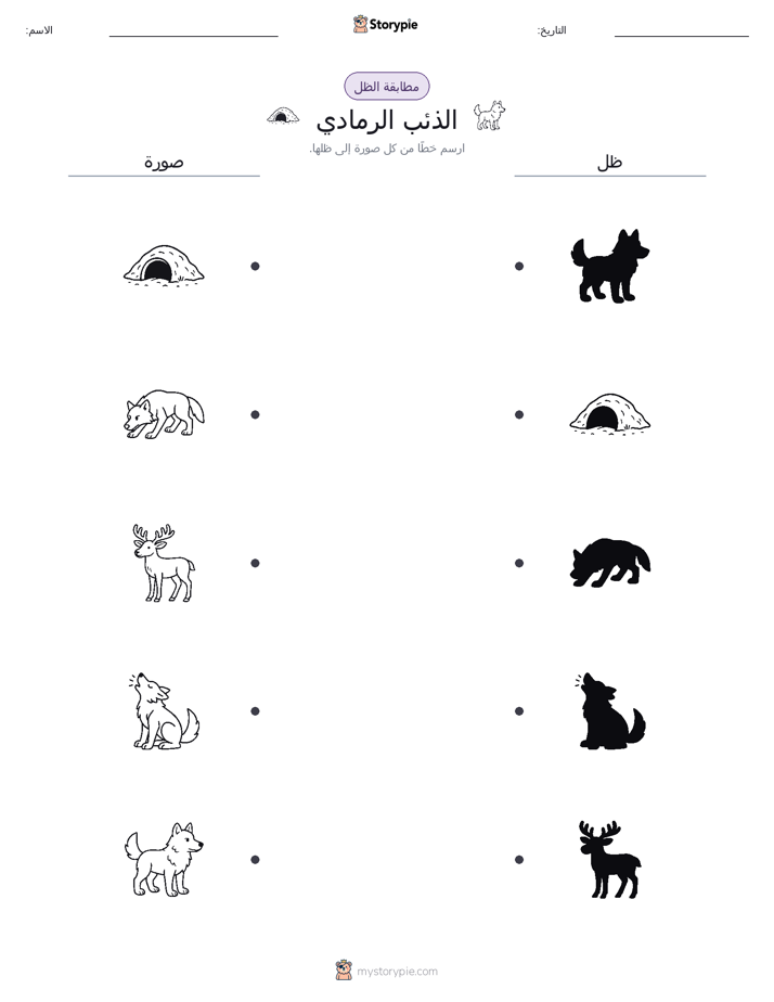مطابقة الظل