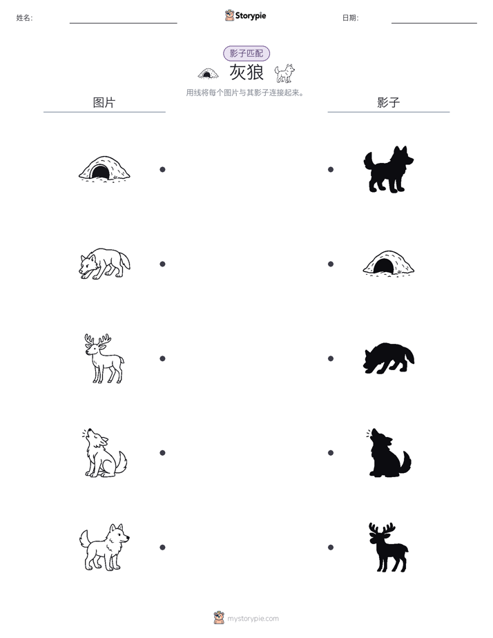 影子匹配