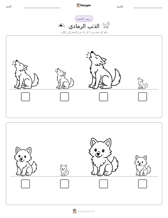 ترتيب الحجم