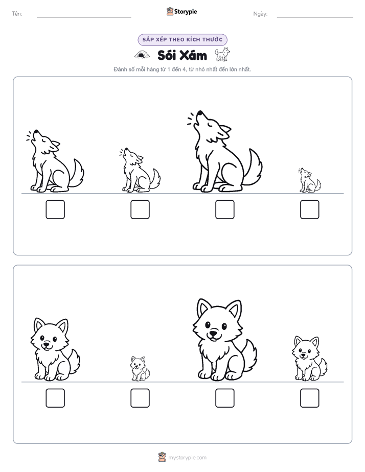 Thứ Tự Kích Thước