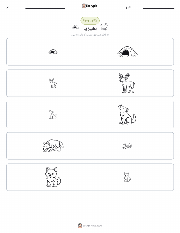 ترتیب دینا