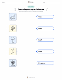 Brachiosaurus altithorax printable worksheet for kids