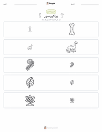 معاينة ورقة العمل القابلة للطباعة براكيوصور ألتيثوراكس
