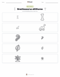 Brachiosaurus altithorax printable worksheet preview