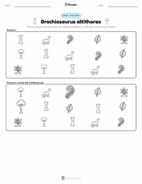Brachiosaurus altithorax printable worksheet preview