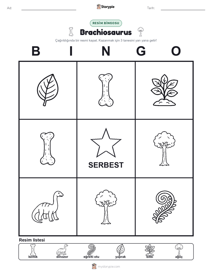 Resim Bingo