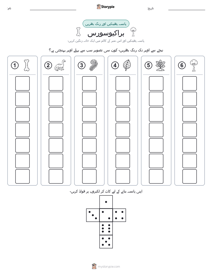 رول اور رنگ