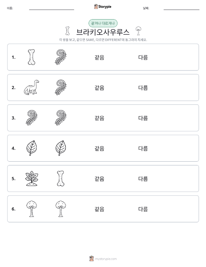 같은 것 또는 다른 것