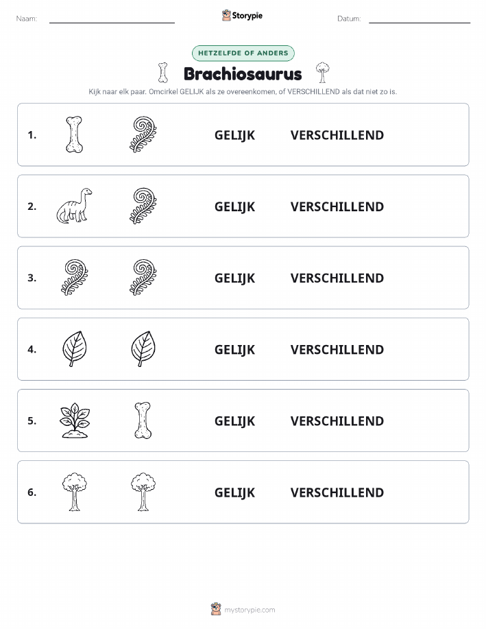 Zelfde of Verschillend