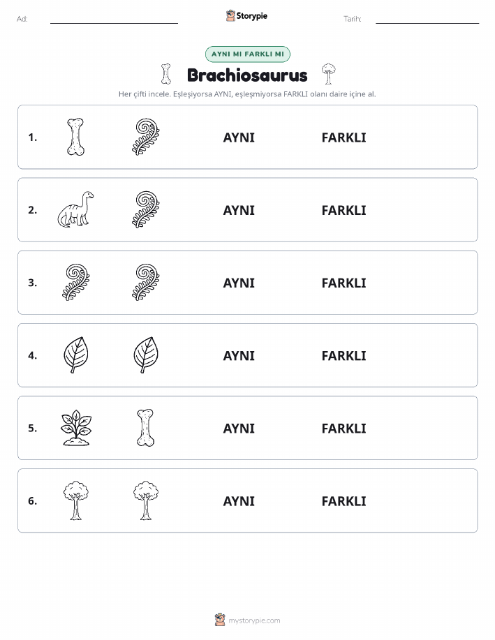 Aynı mı Farklı mı