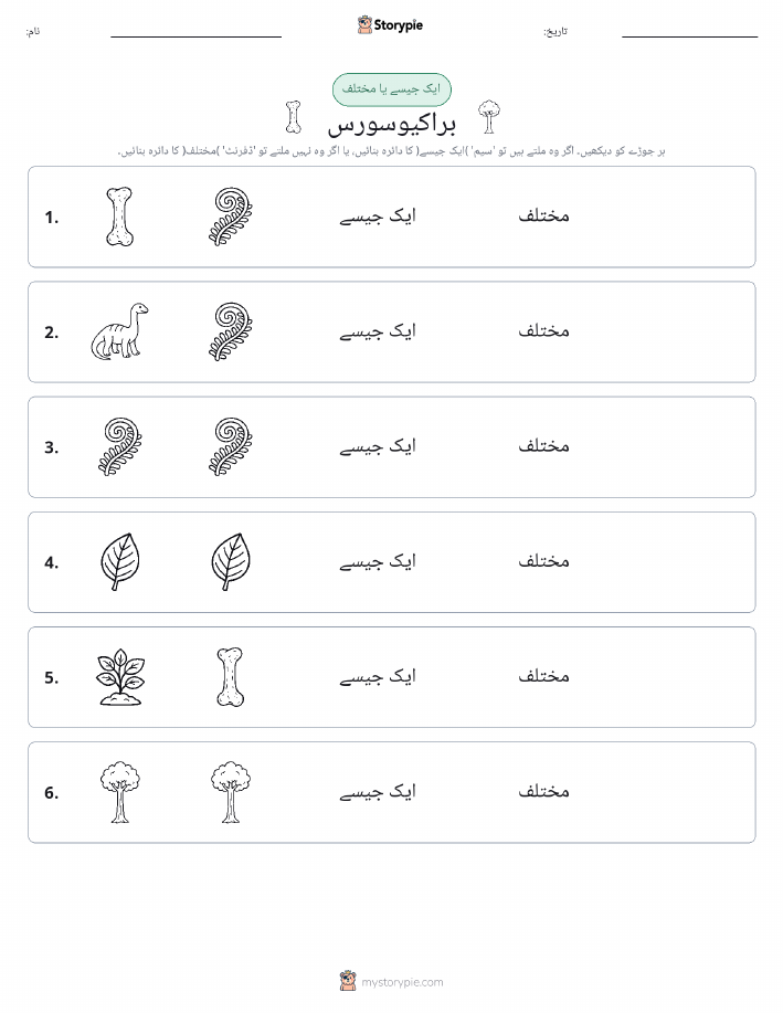 ایک جیسا یا مختلف