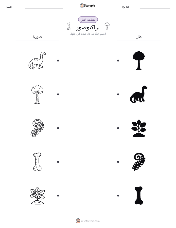 مطابقة الظل