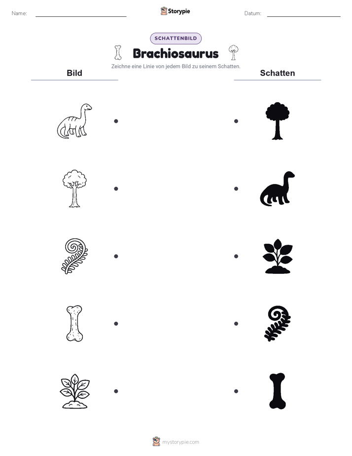 Schattenmatch