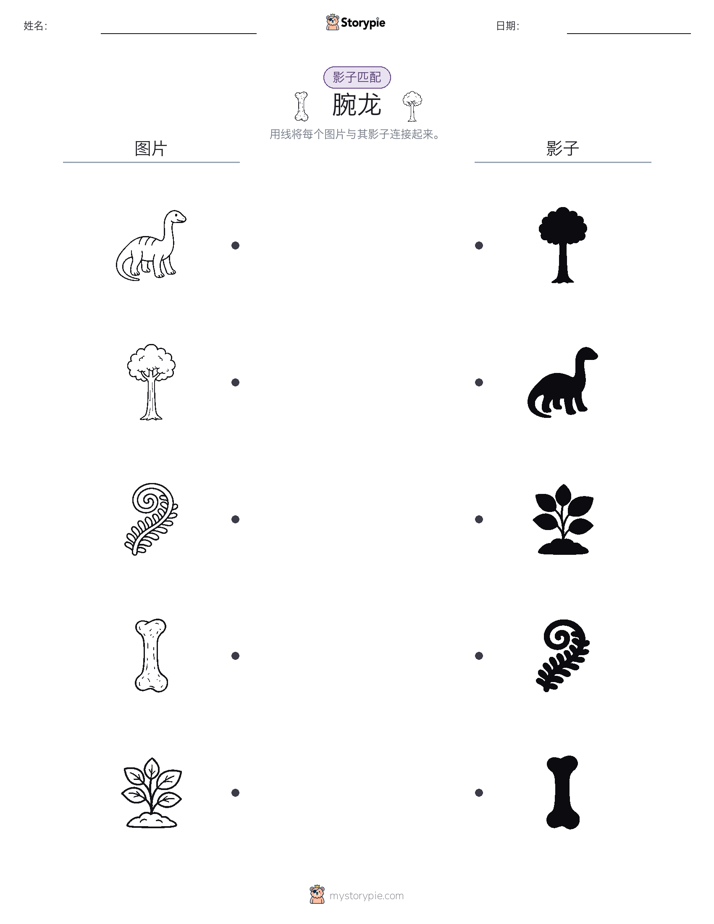 影子匹配