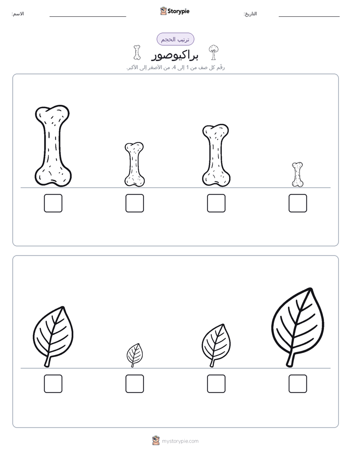 ترتيب الحجم