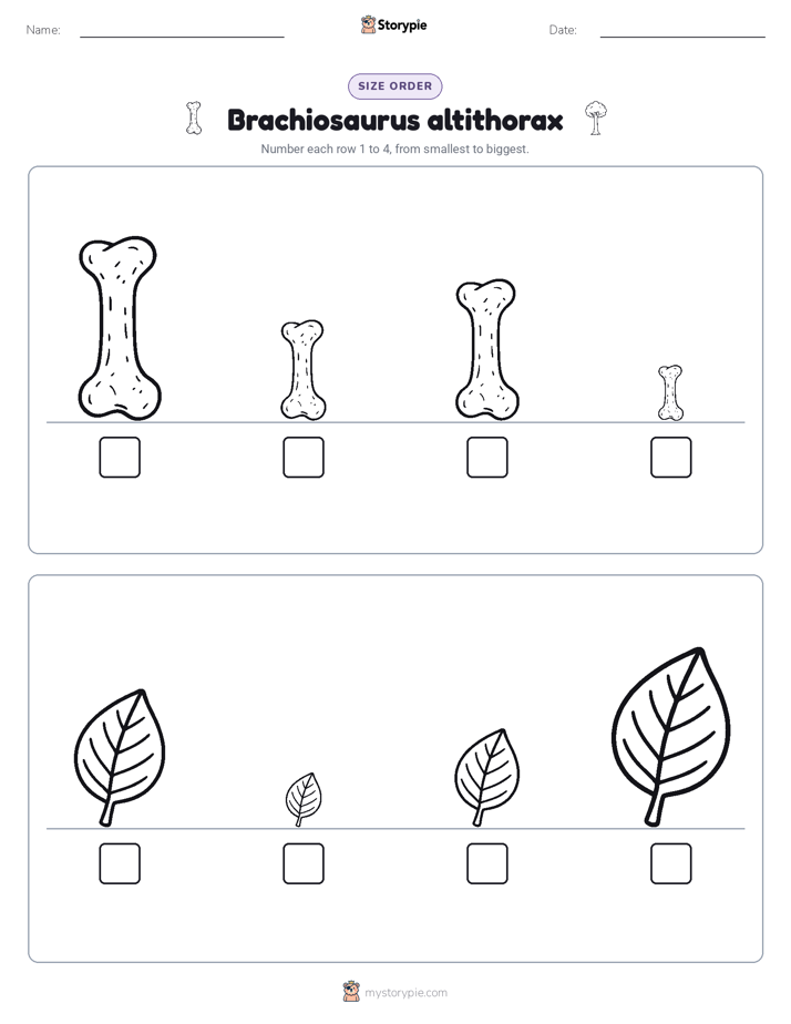 Size Order