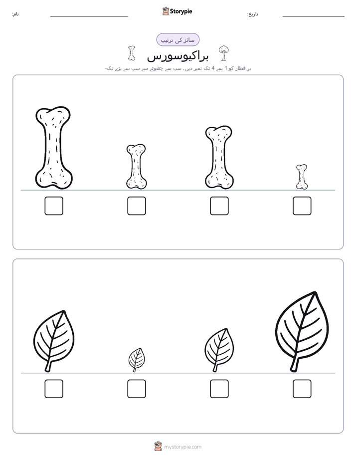 سائز کی ترتیب