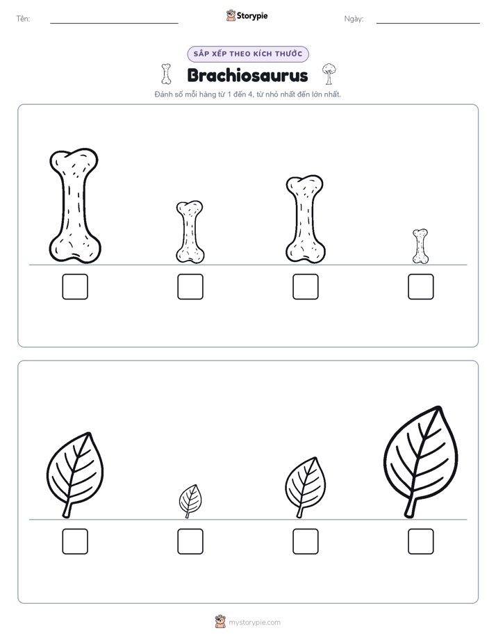 Thứ Tự Kích Thước