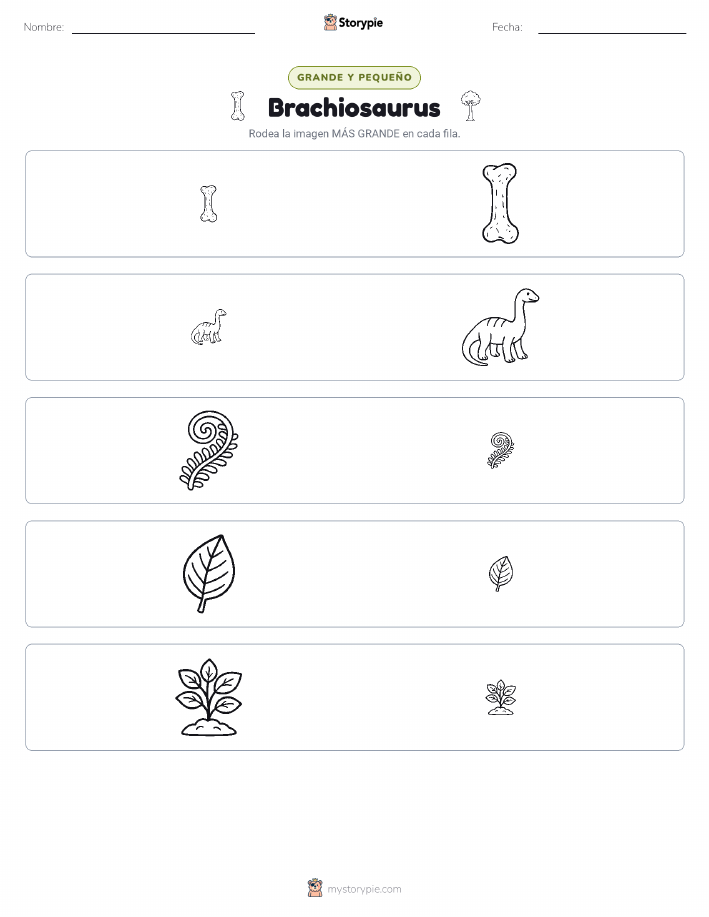 Clasificación