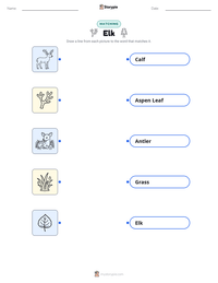 Elk printable worksheet for kids