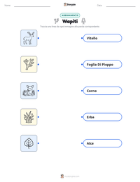 Scheda stampabile di Wapiti per bambini