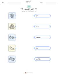 معاينة ورقة العمل القابلة للطباعة النمل الأبيض