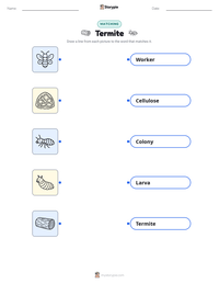 Termite printable worksheet preview