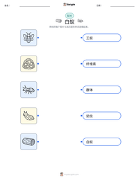 白蚁 可打印工作表预览