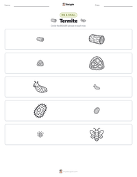 Termite printable worksheet preview