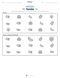Termite printable worksheet preview