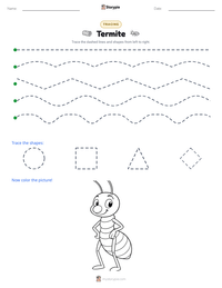 Termite printable worksheet preview